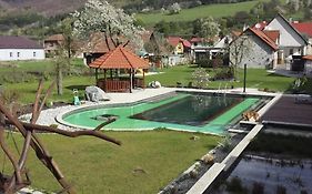 Wellness Penzion Rosnicka